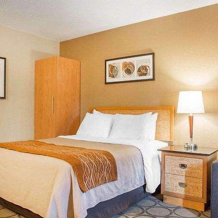 Comfort Inn Brantford Bagian luar foto