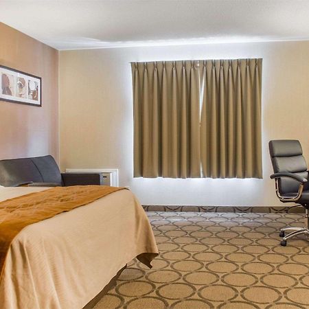 Comfort Inn Brantford Bagian luar foto